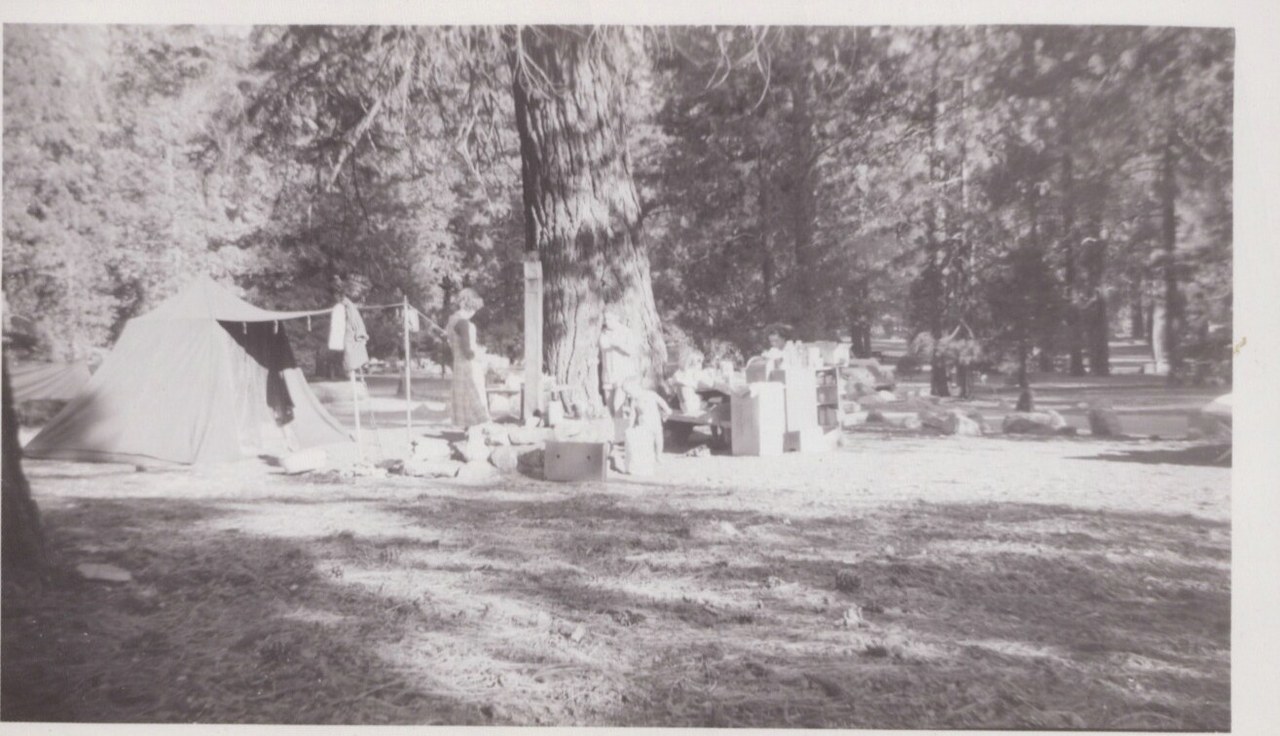 Black-and-white photo of a canvas tent campsite beside a massive conifer tree, with figures in period clothing and camp supplies scattered on the ground.