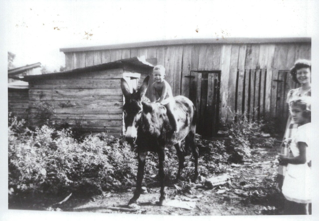 Child sitting on a donkey in a rural farmyard with wooden buildings and other people visible.