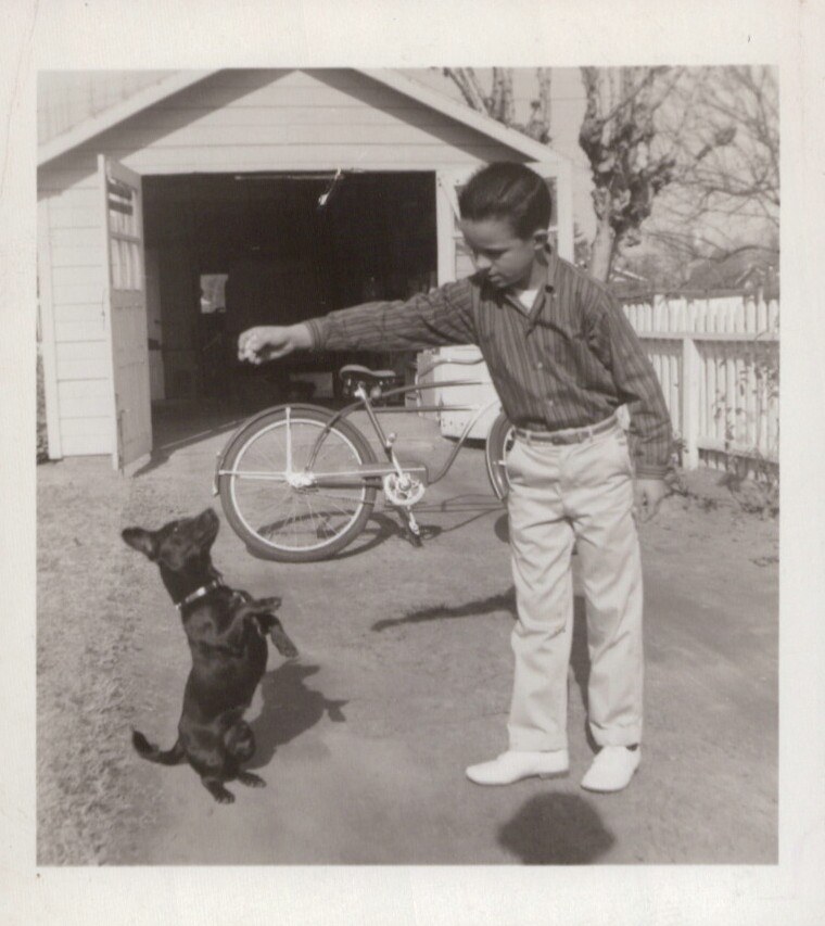 A young boy in a striped shirt extends his hand toward a small dark dog rearing up on its hind legs, with a cruiser bicycle and open garage visible in the background.